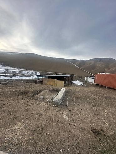 кафе бостери: Мүйүздүү майда мал фермасы, 30 соток, Иштеп жаткан, Жабдуулары менен, Электр энергиясы — 8