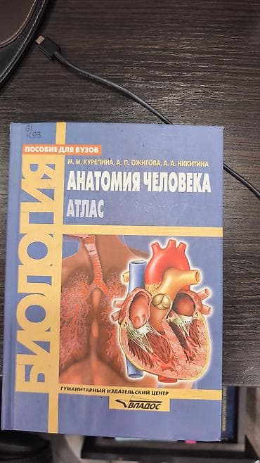 Спорт и хобби: Анатомия человека. Атлас — учебное пособие для вузов Авторы: М. М — 1