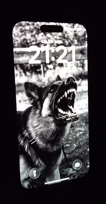 обменяю на: IPhone 14 Pro, Б/у, 256 ГБ, Space Gray, Кабель, 84 % — 2