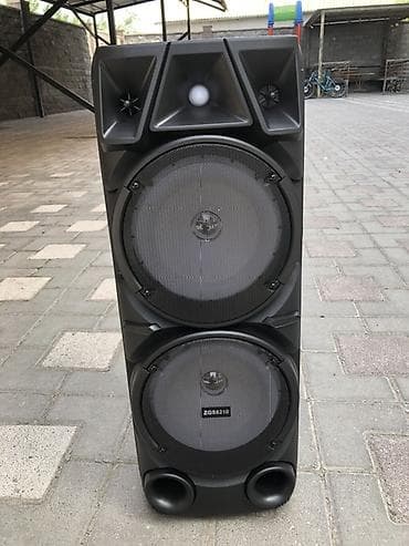 Портативная акустическая система Sing-e ZQS821 - Два динамика 8" с