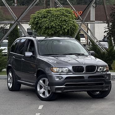 bmw e43: BMW X5: 2004 г., 3 л, Автомат, Бензин, Кроссовер — 2