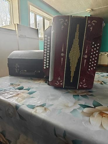 гармондор: Баян двухрядный (кнопочный аккордеон) - Корпус бордового цвета с — 1