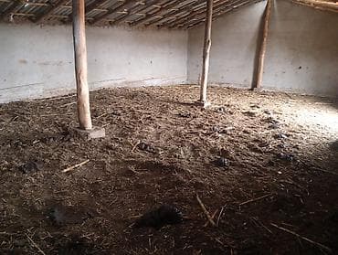 продаю дом с квартирным бизнесом: 30 соток, Для сельского хозяйства, Красная книга — 7