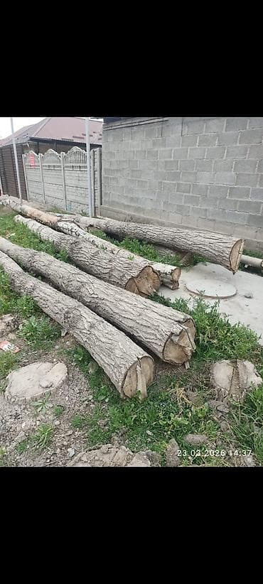 черновой: Кругляк/бревна лиственных пород - Порода: ориентировочно — 3