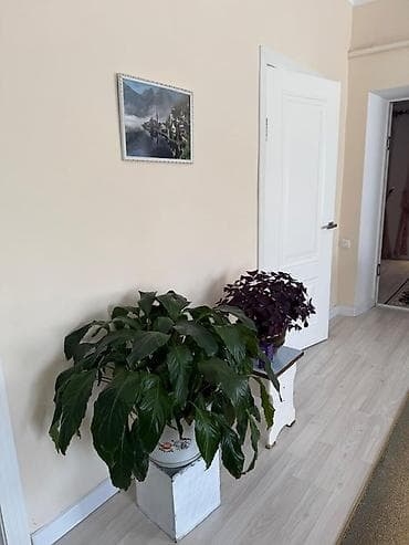 Продаю дом район Люксембург участок 15соток дом из 5ти комнат — 7