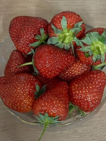 бала багып алам 2023: Ищу помощницу по дому и няню. Жумуш жумасына 5 кун, 7 сааттан — 1
