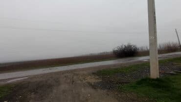 сыр камамбер цена бишкек: Эчкинин суту, эненин суту менен барабар дейт беле? таза чоп, таза — 2