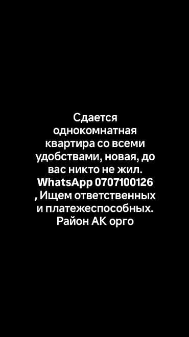 квартира сдаю ак орго: 1 комната — 1