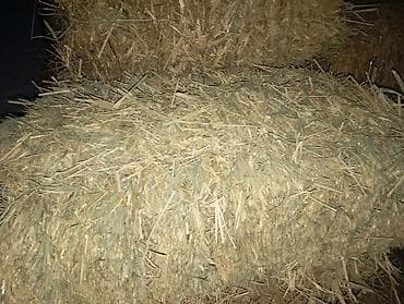 пчела семья: Соломенные тюки разнотравье с камышом .камыш (прямоугольные) тонкие — 5