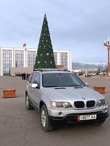BMW X5: 2002 г., Автомат, Кроссовер