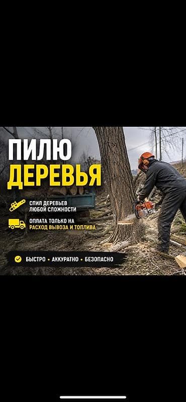 Услуги: Спил деревьев - Спил деревьев любой сложности: аварийные — 1