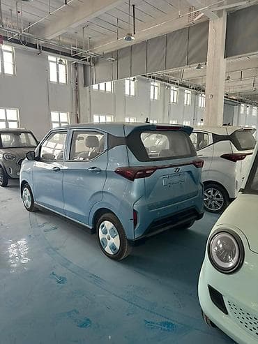 Microcar: Microcar : 2026 г., Электромобиль, Минивэн — 2