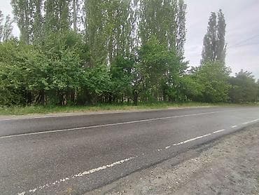 20 тон контейнер у: 18 соток — 3