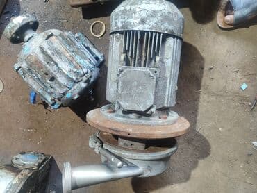 Насосы нерж пищевой молочница at lalafo.kg Насосы нерж пищевой молочница