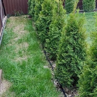 товары для сада: 🌱🌱🌱🌱Сеем Газон🌱🌱🌱 Поливная система, автоматическая полив качественно и — 2