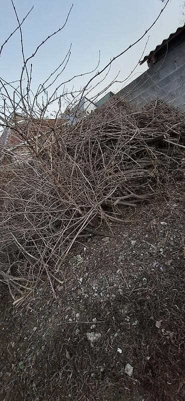 Инструменттер: Отун — 3