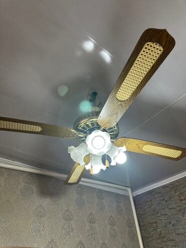 зонт для торговли бу: Люстра вентилятор (рабочий) — 4