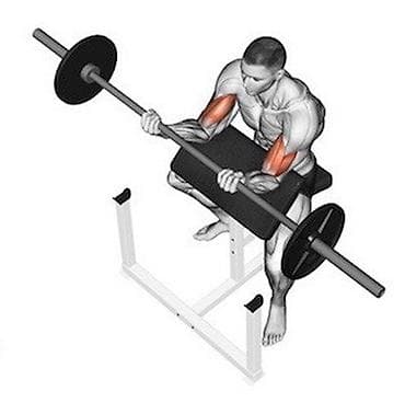 скамья скотта: Скамья Парта Скотта для бицепса 🔥 ▫️-Отличный тренажер для бицепса и — 1