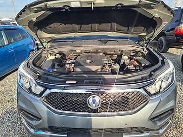 аварийный степ: Ssangyong Rexton: 2019 г., 2.2 л, Автомат, Дизель, Внедорожник — 10