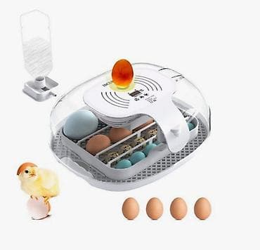 инкубационные яица: Инкубатор на 16 яиц #Инкубатор #БизнесИнкубатор — 5