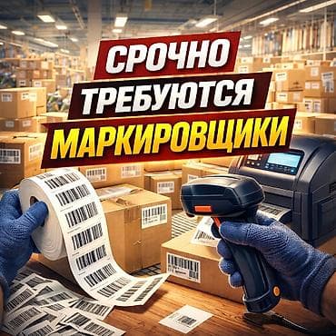 ТТС, унаа бизнеси: Документ түзүүчү — 1