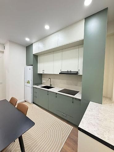 flat osh: 1 комната, 43 м², Элитка, 4 этаж, Евроремонт — 8