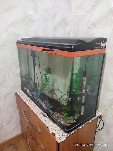 Животные: Аквариум комплект 100 л с крышкой и оборудованием .85 длина,50 — 2