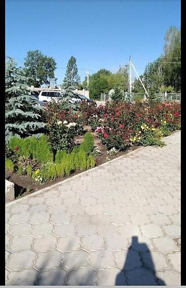 отдых на иссык куле с детьми: ✨ Премиальный коттедж на побережье Иссык-Куля в Чолпон-Ате ✨ — 6