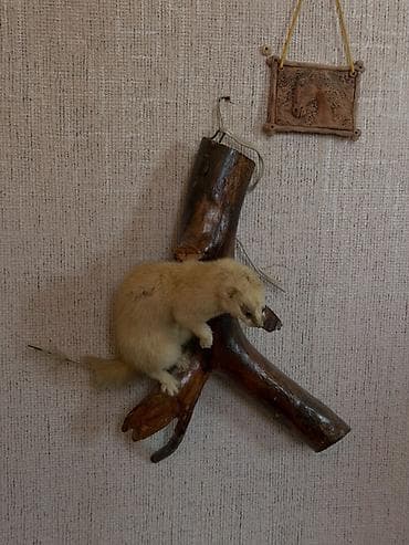 Недвижимость: Дом (частный сектор), Бактуу-Долоноту, 20+ мест — 10