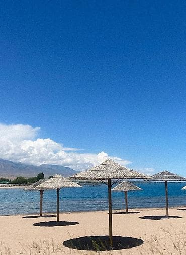 на исык куле: Коттедж, Коттедж “У Алии” Чок-Тал, Барбекю, Охраняемая территория — 8