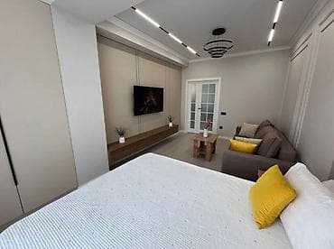 Батирди ижарага алам: 1 бөлмө, Менчик ээси, Чогуу жашоосу жок, Толугу менен эмереги бар — 8