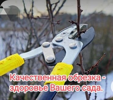 Лучшее время обрезки сада зима и ранняя весна. Работаем ✓ качественно