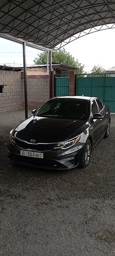 Транспорт: Kia Optima: 2019 г., 2.4 л, Автомат, Бензин, Седан — 2