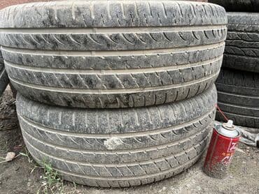 шины для фур: 245/55/19 
Пара — 1