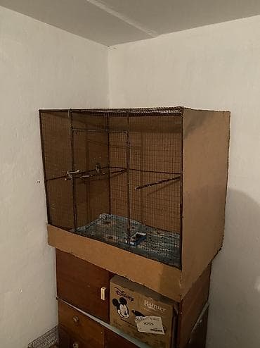 деревяные ящики: Индивидуальные изделия под заказ клетки для пичи птиц из дерева из — 5