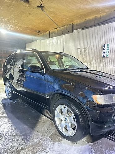 BMW X5: 2001 г., Автомат, Бензин, Жол тандабас — 7