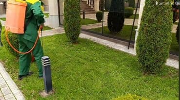 сколько стоит обучение на маникюр: Сделали ландшафтный дизайн? Нужно поддерживать его в идеальном — 10