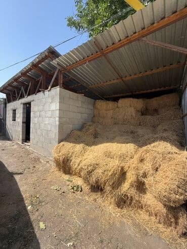 продается дом военно антоновка: Дом, 68 м², 3 комнаты, Агентство недвижимости, Косметический ремонт — 14