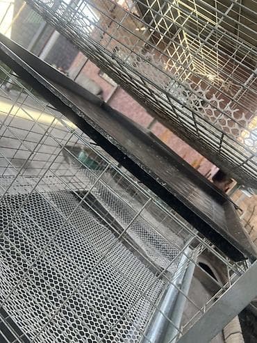 Собаки: Многоярусная клеточная батарея для птицы Высота 165 Ширина 142 — 2