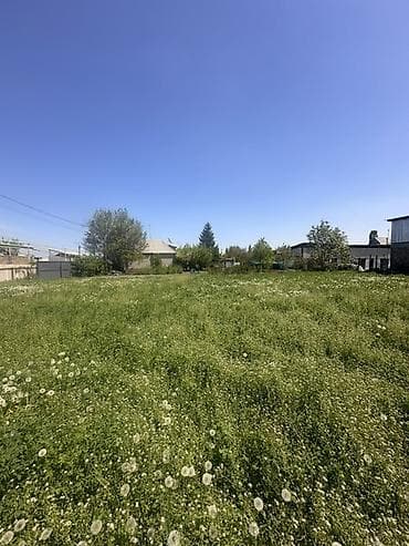 участок в новопавловке: 7 соток, Для строительства — 2