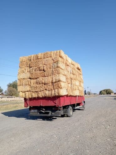 продаю домкрат: Грузовик, Mercedes-Benz, Стандарт, 6 т, Б/у — 7