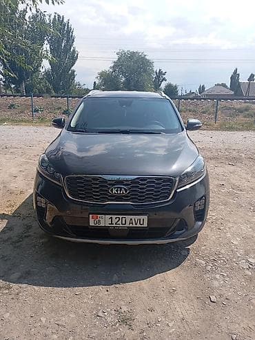 15 зимняя резина: Kia Sorento: 2019 г., 2.2 л, Дизель, Кроссовер — 1