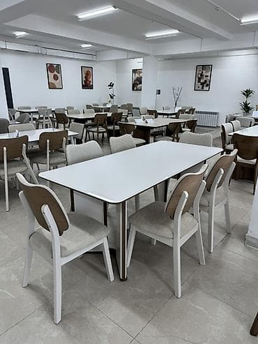 chair table: Кухонный стол и стул, цвет - Белый — 1