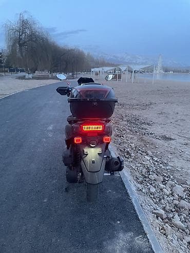 альфа мото: Скутер/Tank 150 куб бенали матор скутер черного цвета с задним кофром — 3