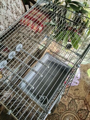 ошейники для кошек: Продам клетку для птиц, практически новая, заказывали на wb, удобная — 6