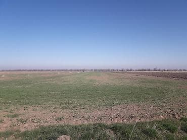 дом проекты: 2 соток, Для сельского хозяйства — 2