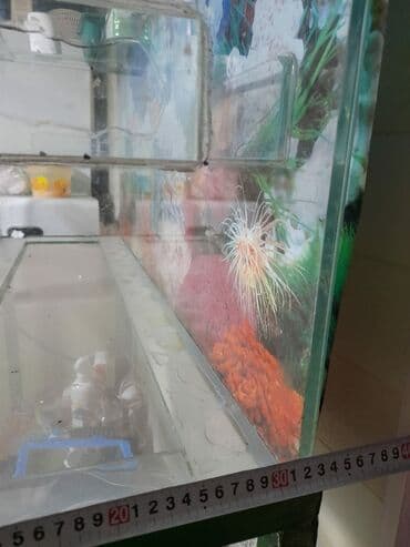 компресор для аквариума: Продаю аквариум — 3