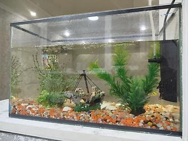 аквариум на заказ: Аквариум прямоугольный с оформлением “морское дно”. Комплектация и — 1