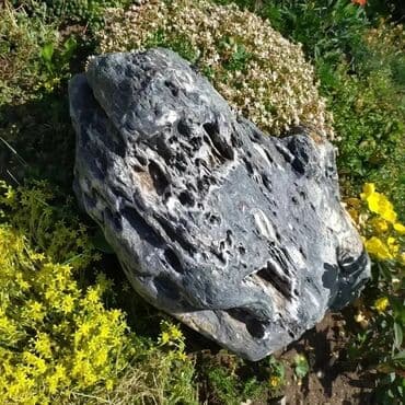камни для аквариума: Продажа натуральных декоративных камней для ландшафтного дизайна — 23