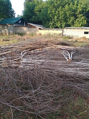 заказ рыбы: Дрова Самовывоз — 2